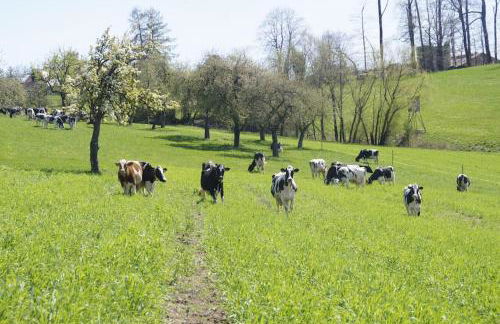 Bushof - Leben auf dem Land - Foto 27