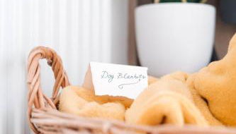 Foxglove Lodge - Photo 5, pet friendly