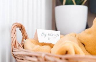 Foxglove Lodge - Photo 5