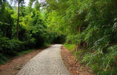 Vila Bamboo secretário - Foto 2