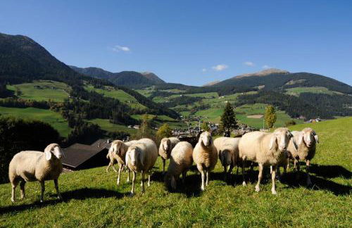 Botenhof - Urlaub auf dem Bauernhof - Agriturismo - Foto 5