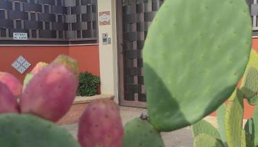 Villa Emilia - Foto 2