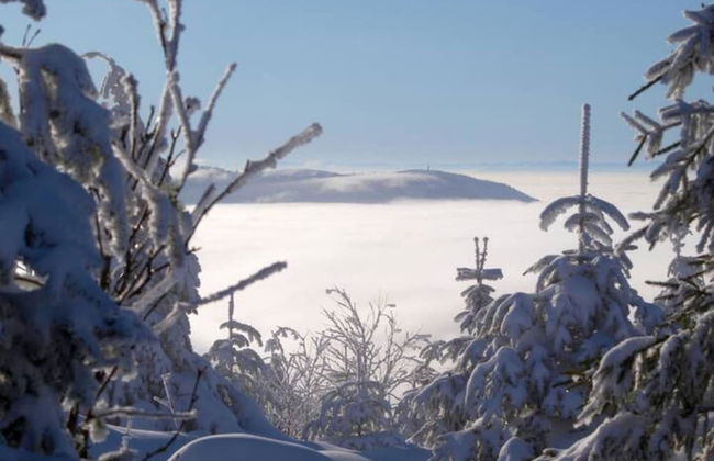 Hideaway Near Black Forest - Foto 35