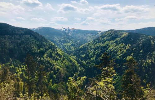 Ferienhaus Robin - Foto 12