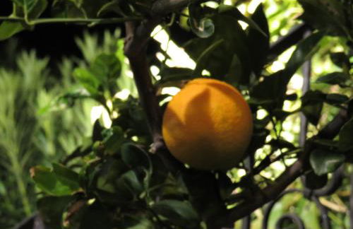 Rifugio della Pace Piano terra e Primo Piano - Photo 33