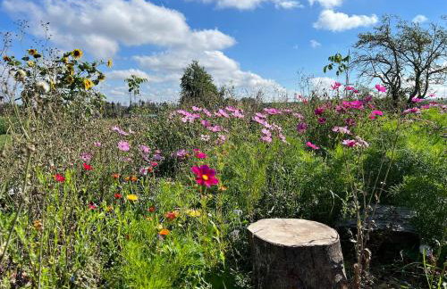 Family-friendly, entire house - Foto 1