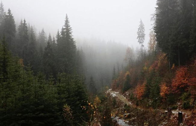 Ferienhaus in Barenstein bei Grunen Hugeln - Foto 39