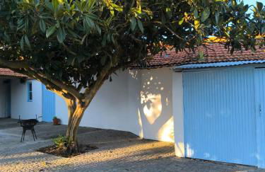 Casa do Camondo - Foto 16