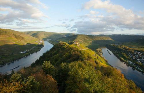 Haus in Spay an der Mosel mit Sauna - Foto 10