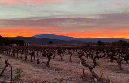 Le Mas Nathael - Photo 40