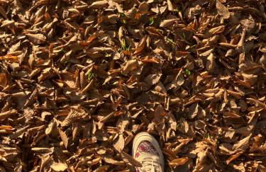 Casale el galet - Foto 69