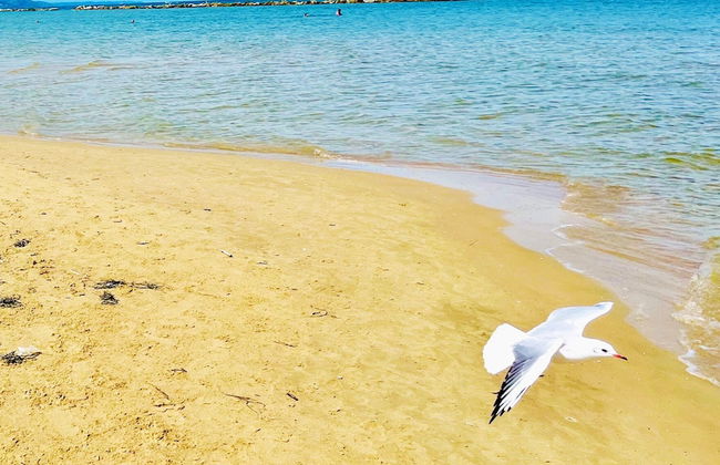 2-bed Apartment in Abruzzo, Italy 15 Minute to sea - Foto 10