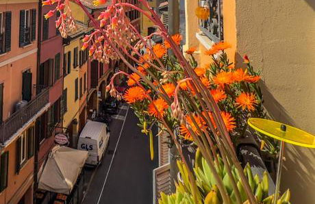 Healthy Flat Bologna - Tower Skyline View - Photo 16