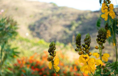 Casa La Aurora - Foto 12