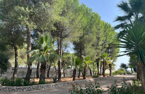 Casette Masseria La Camardia - Foto 60