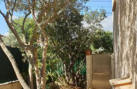 L'Oliveraie - Foto 13