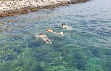 Zadar Kali Booking Franov Residence on island Ugljan with the pool, BBQ and beautiful sea-view! - Foto 60