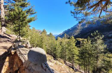 Appartement T2 Bord de Mer - Maria Beach - Foto 46