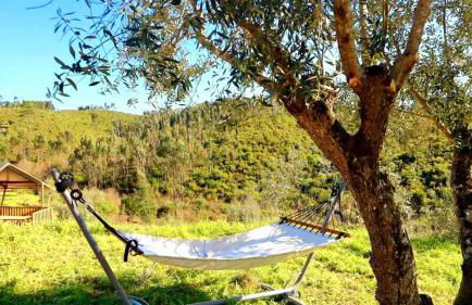 Quinta Vida Verde - Foto 47