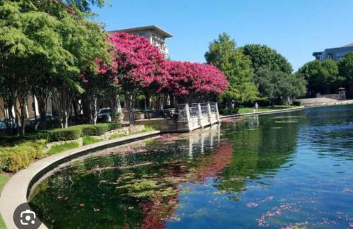 Cozy 1,100sf apartment in the heart of Legacy - Foto 21