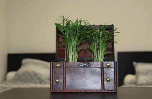 Studios Galaxia - Foto 9