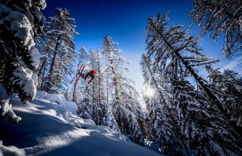 Le Petit Aupillon - L'Aupillon des Forêts - 2 studios cocooning aux Orres - Photo 44