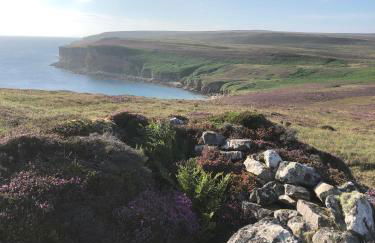 House of the Northern Gate - a luxury baronial house that sleeps 18 guests in 9 bedrooms - Foto 46