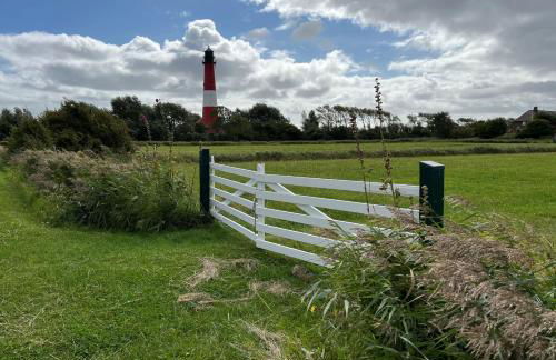 Ferienhof Paulsen - Regenpfeifer - Foto 35