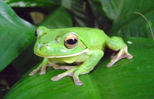 The Beach Place - Foto 45