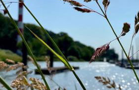 Fischerhaus Blankenese - Foto 59