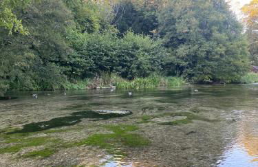 Cosy Riverside Hideaway - Photo 13