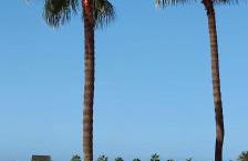 Sunrise Apartamentos - Foto 22