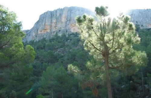 La Casa del Pan de Archivel - Foto 67