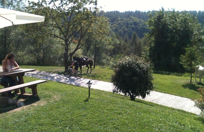 Malga Zanga - Photo 34