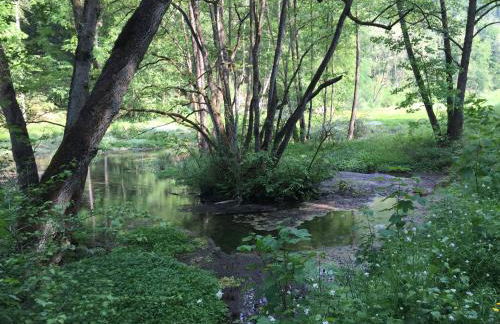 Waldläufer Brilon - Foto 55