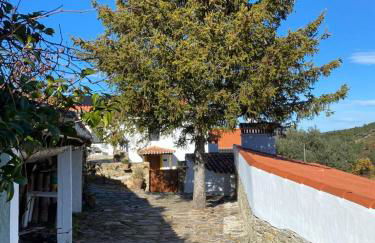 Casa do Vale - Photo 40