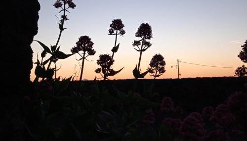 Casa Ben Abora - Foto 3