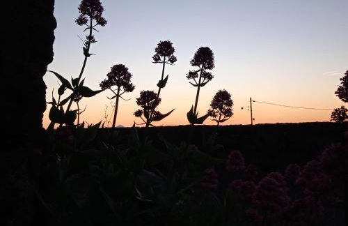 Casa Ben Abora - Foto 3