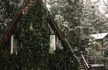 Clarity Cabin A-Frame Sanctuary w Hot Tub Fireplace Grill AC Hammock Chairs Fire Pit Pets OK - Foto 33