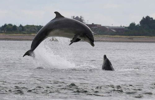 Hillhaven Lodge - Foto 29