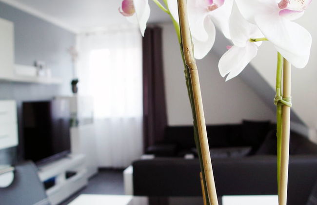 La Domus Premium - Photo 16