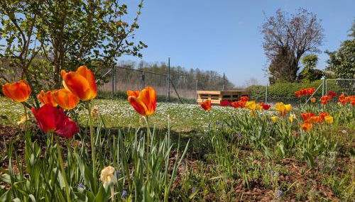 Apartment im Grünen - Foto 5, Garden view