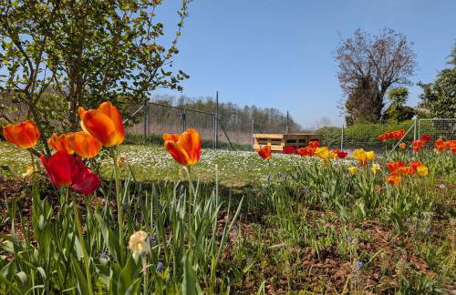 Apartment im Grünen - Foto 5