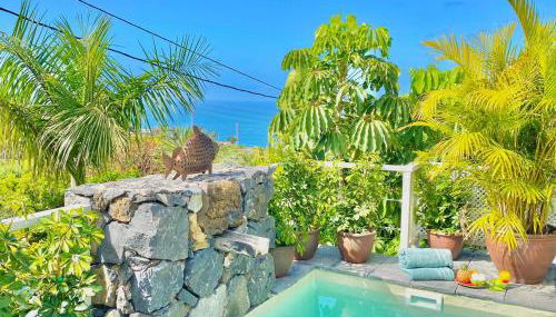 Casa Plumeria, a Private paradise with Pool. - Foto 5, Garden, Garden view