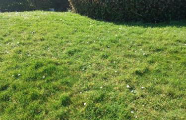 Bleu d'Arques Appartement lumineux et calme - Foto 26