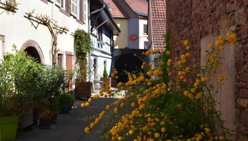 Gîte de Cep et de Grès - Foto 2