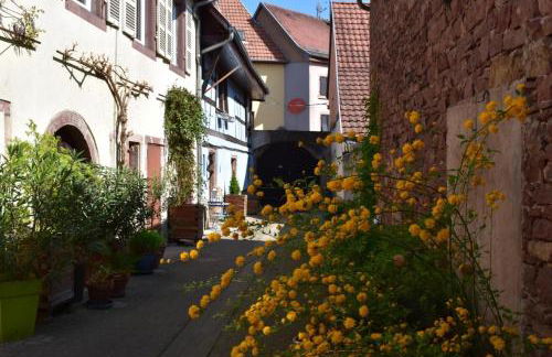 Gîte de Cep et de Grès - Foto 2