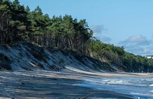 Morski Las - Foto 55