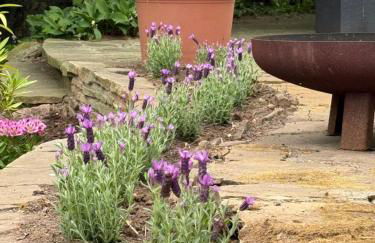 Entspannung am Niederrhein - großes helles Haus mit Kamin - Foto 27