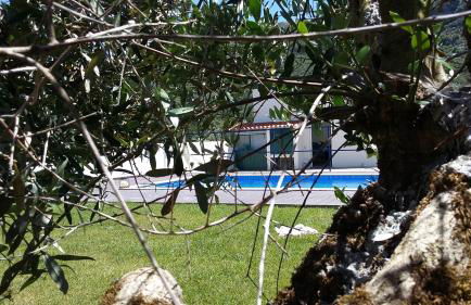 Casa Das Oliveiras - Foto 13